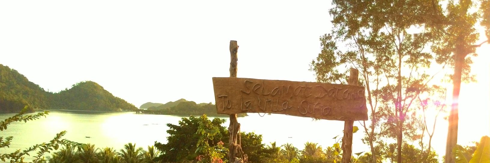 afdal paradiso banner