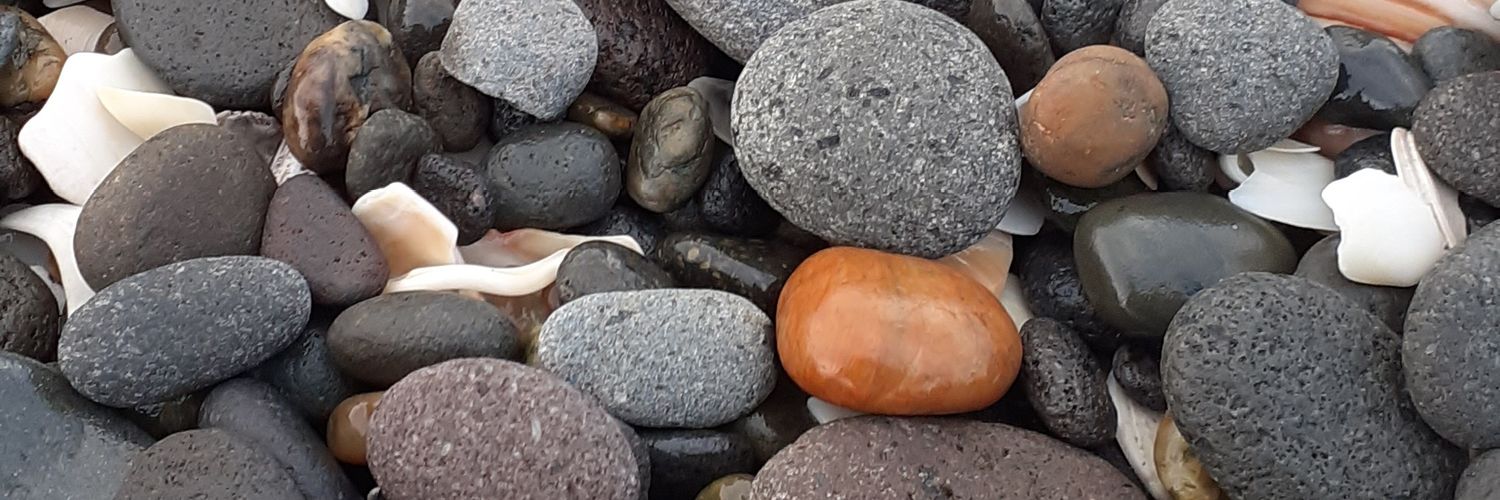 shellzels's profile banner image
