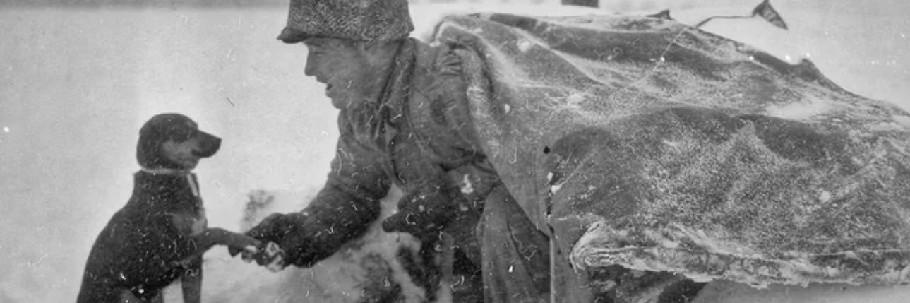 Chevymane! Transsexual, here is my pride flag 🇺🇸 banner