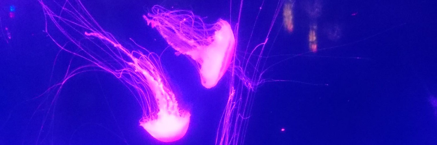 jonathanechar's profile banner image