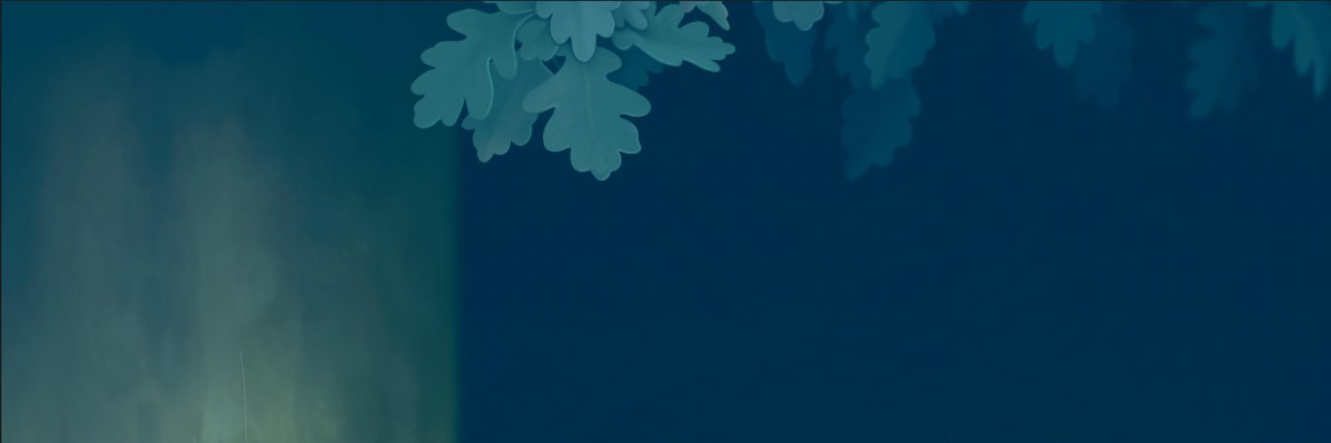 Bajaneg's profile banner image