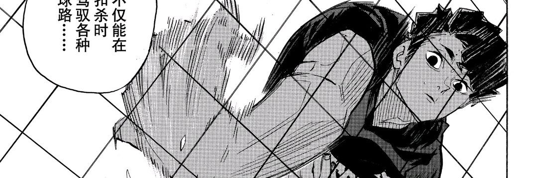 baigofeibai's profile banner image