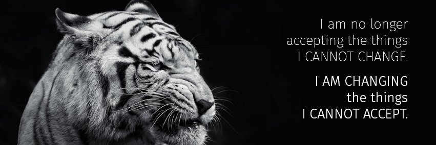 daitiva's profile banner image