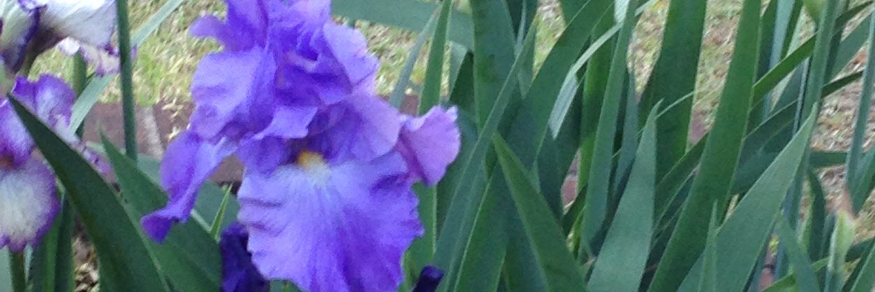 klgarson's profile banner image