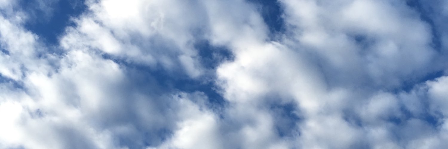 M.Lluïsa Magaña banner