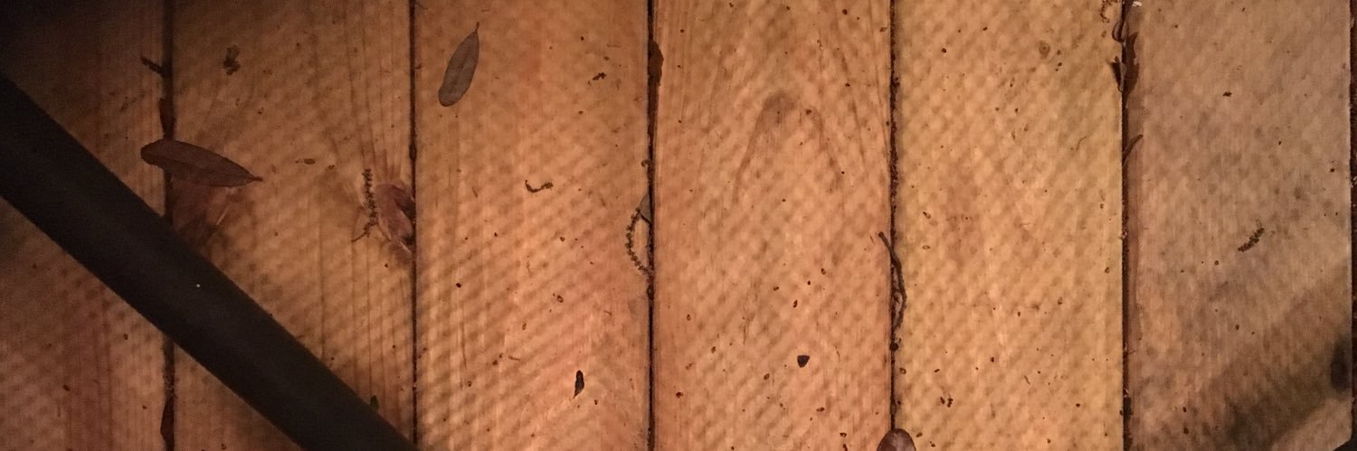 Hilliary Begley banner