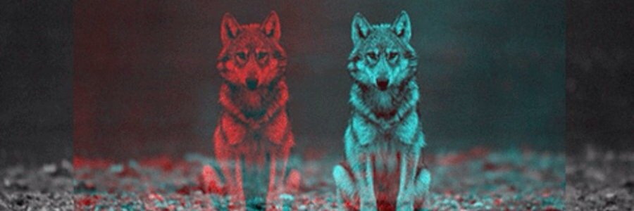 Jose_draz's profile banner image