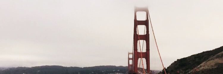 AnaelleClement's profile banner image