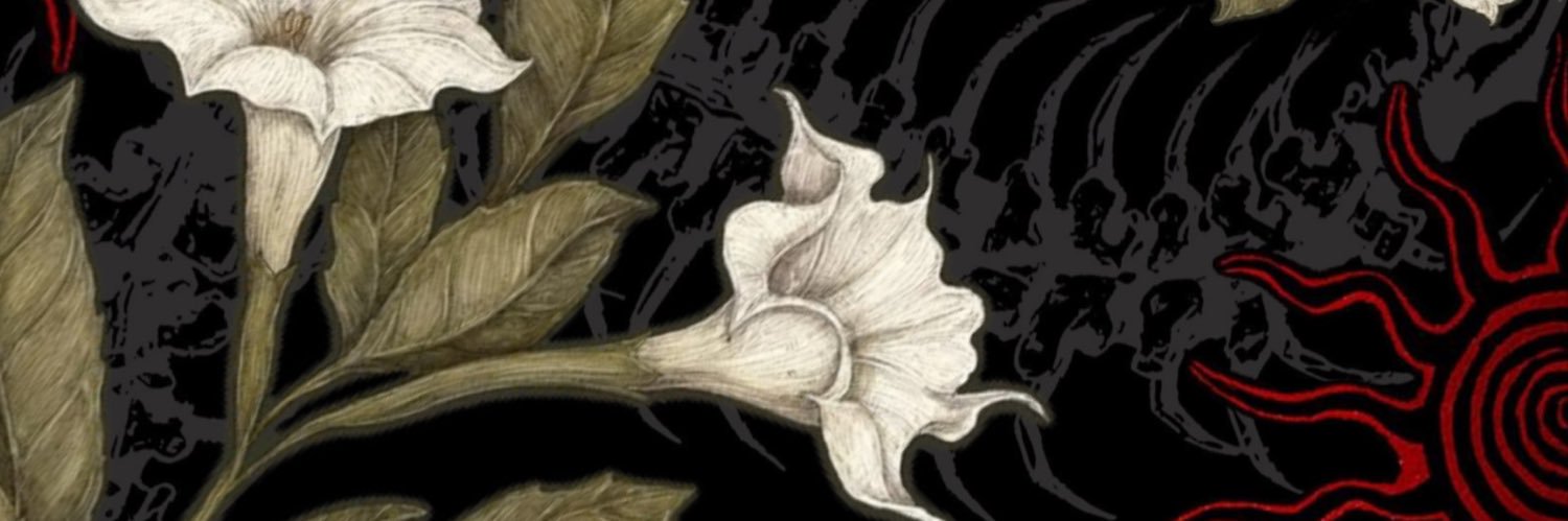 virginiyuh's profile banner image