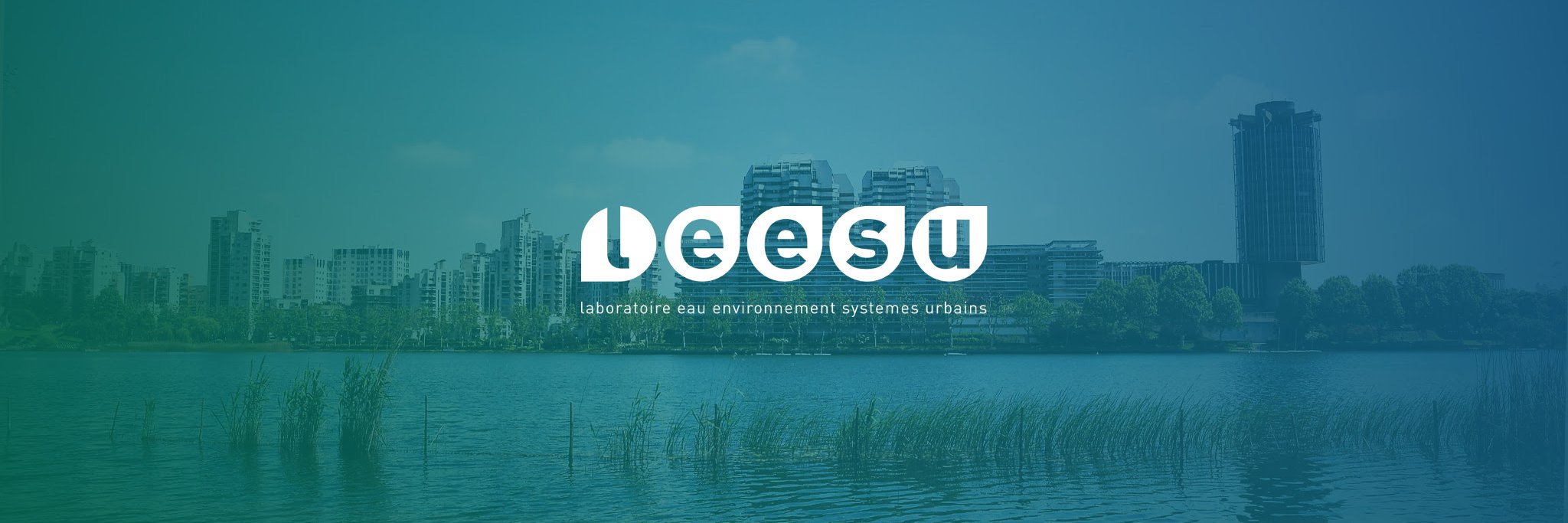 leesu banner