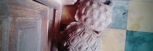 MaraPazL's profile banner image