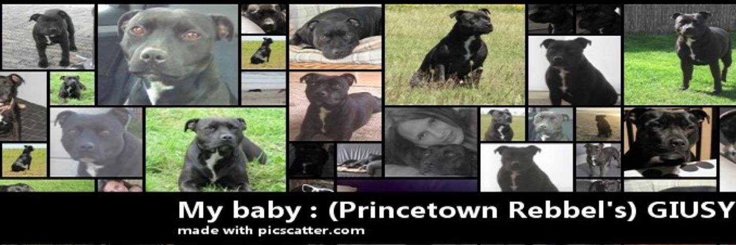 BergerChristel's profile banner image