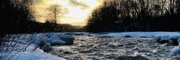 Rilimam Profile Banner