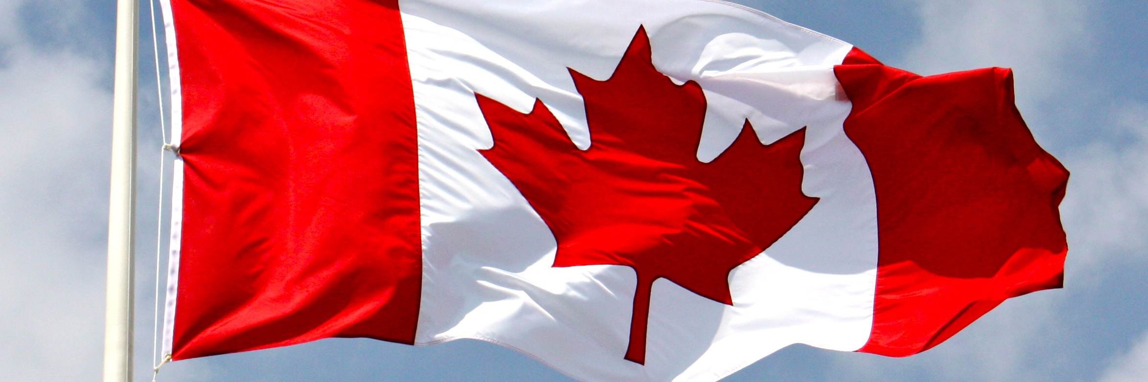 Luke Fidler🇨🇦 banner