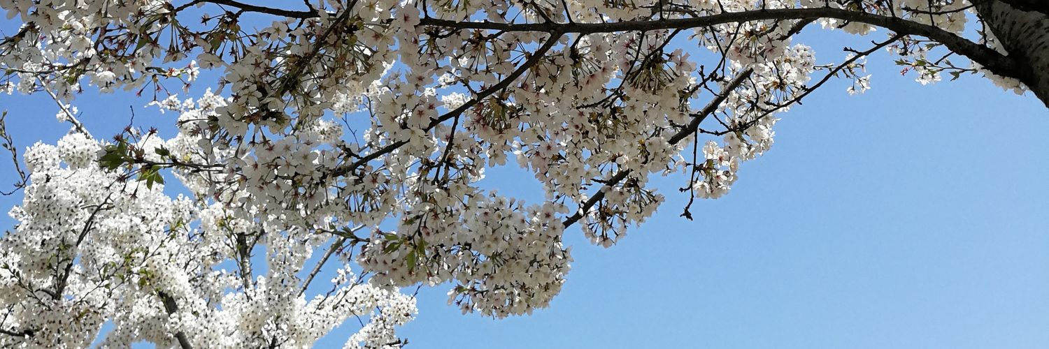 deiynna's profile banner image