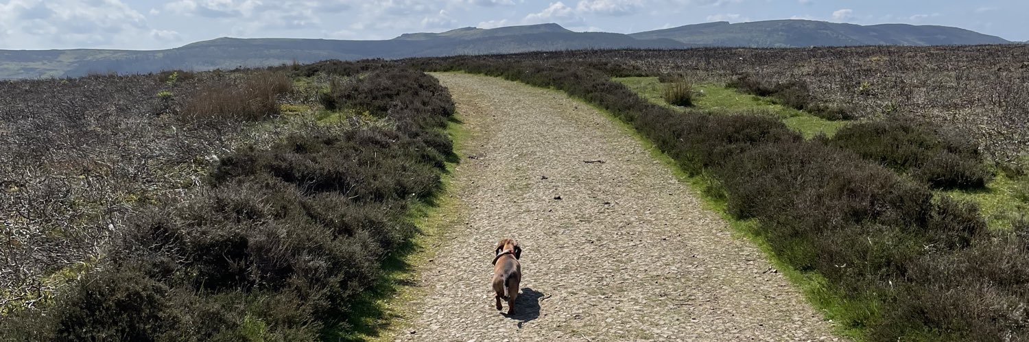 Robert MacDonald banner