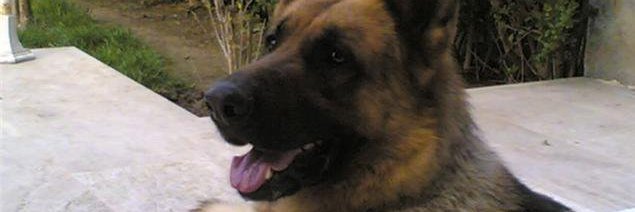 BPortakaloglu's profile banner image