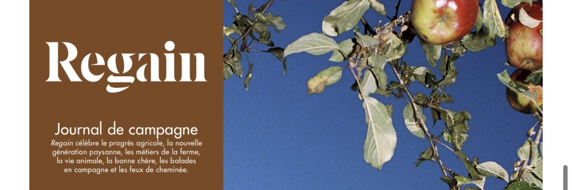 Regain Magazine banner