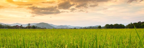 ACCREU Profile Banner