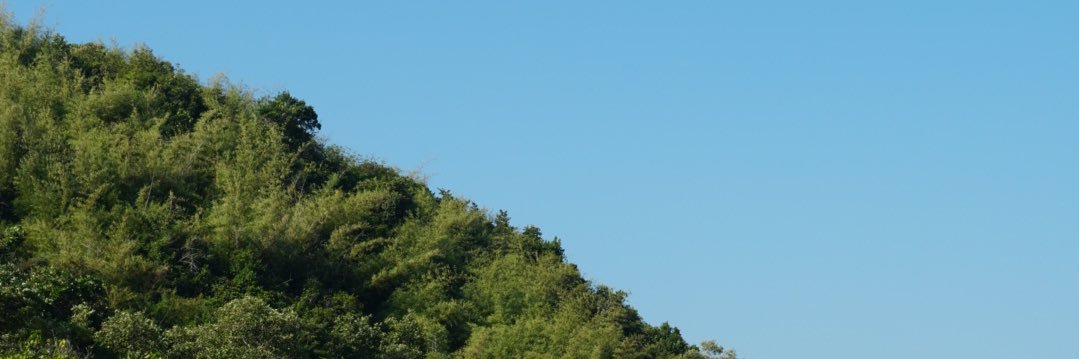 ox_imrd's banner