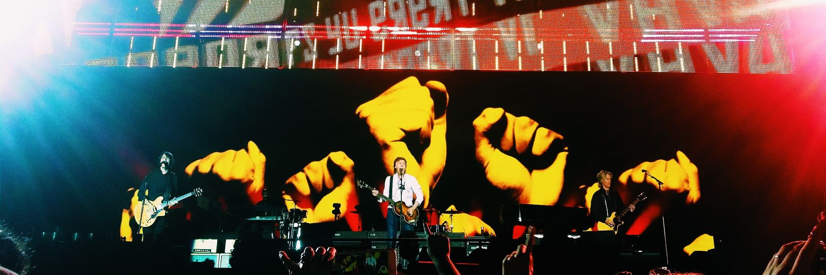 Roark 🔰🌳 banner