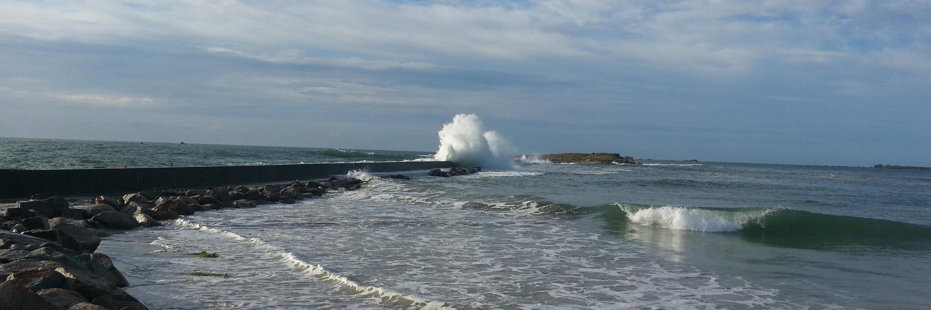 Frédéric Deléon banner