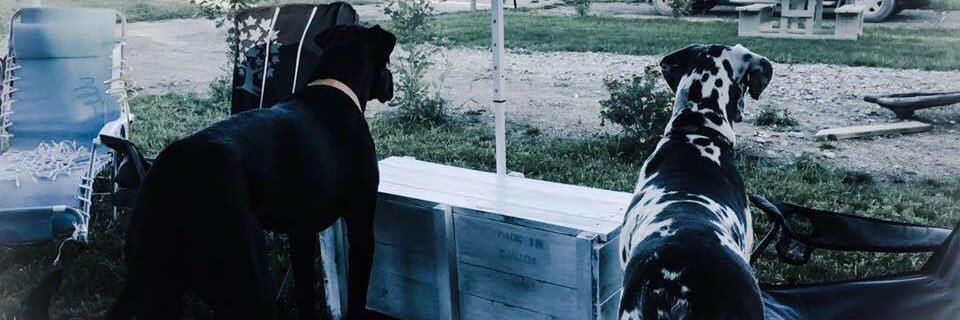 HullyG's profile banner image
