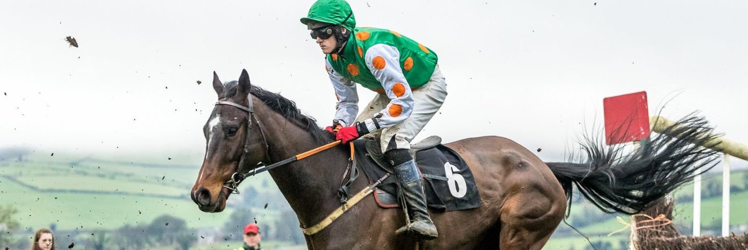 Monbeg Stables banner