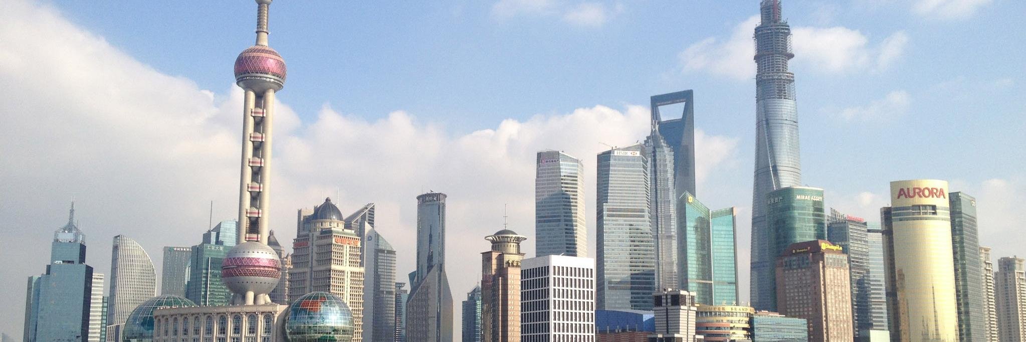 Victoria Kanevsky banner