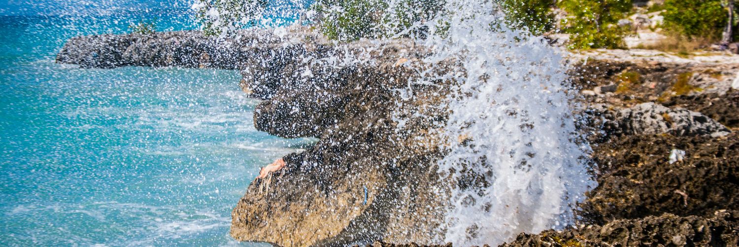sondypic's profile banner image