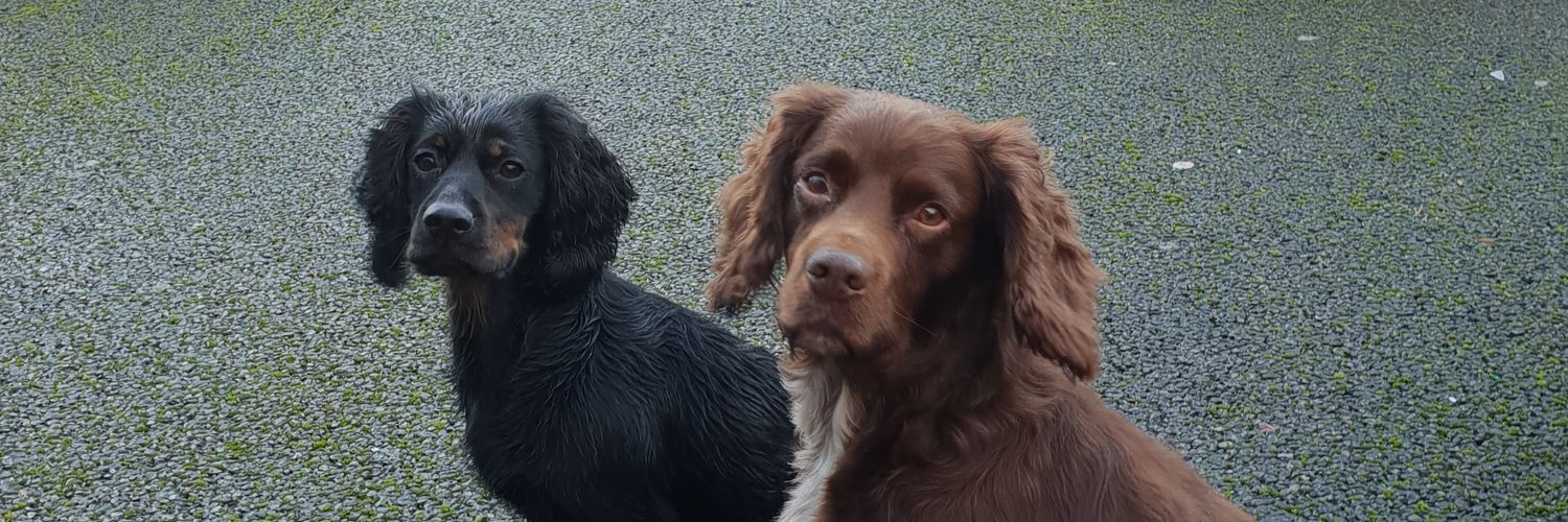 Andrew Beaney banner