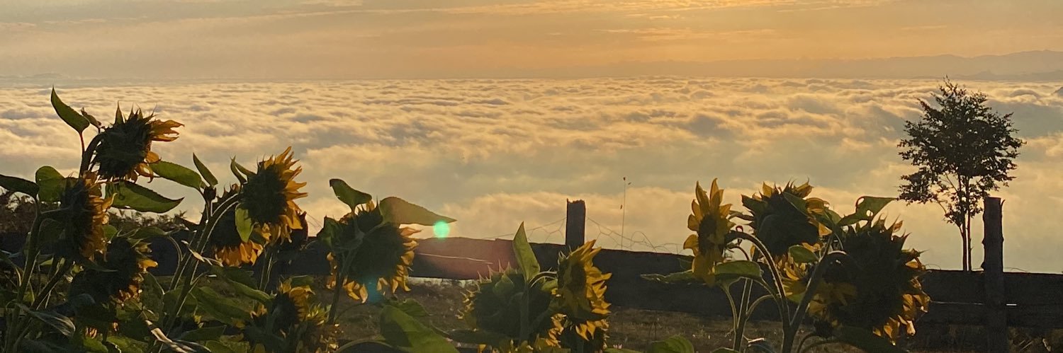 bernaa061's profile banner image