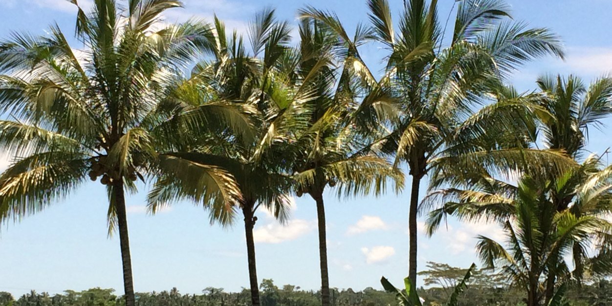 tomwayan's profile banner image