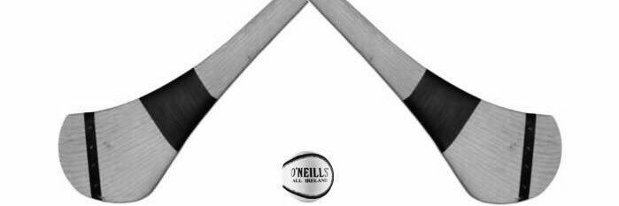 Trim GAA Club banner