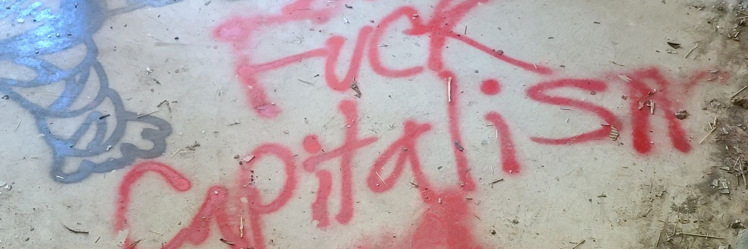 noncapitalism's profile banner image