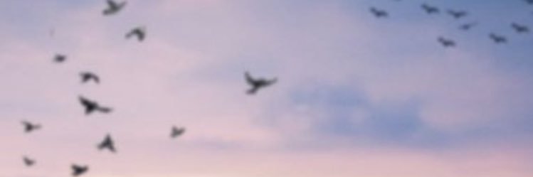 hanan_ath's profile banner image