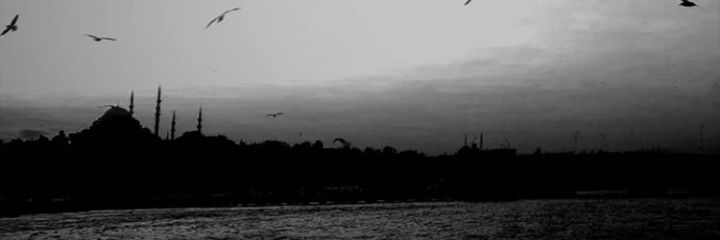 MarasliogluT's profile banner image