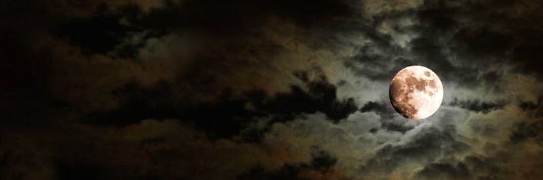 paudex's profile banner image