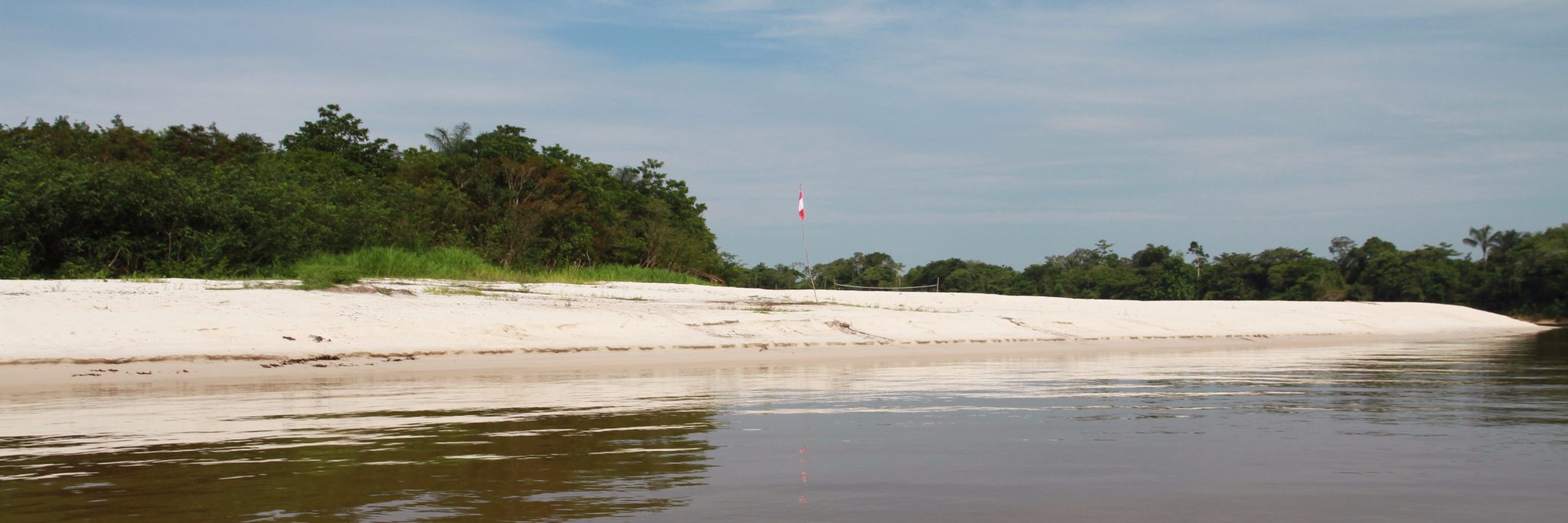 Claus Rasmussen 🐝 banner