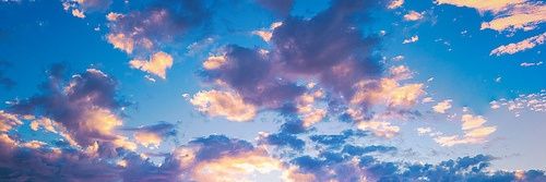 FreedomParentng's profile banner image