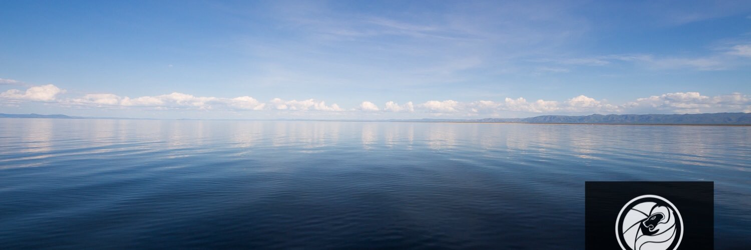 tnashphotos's profile banner image