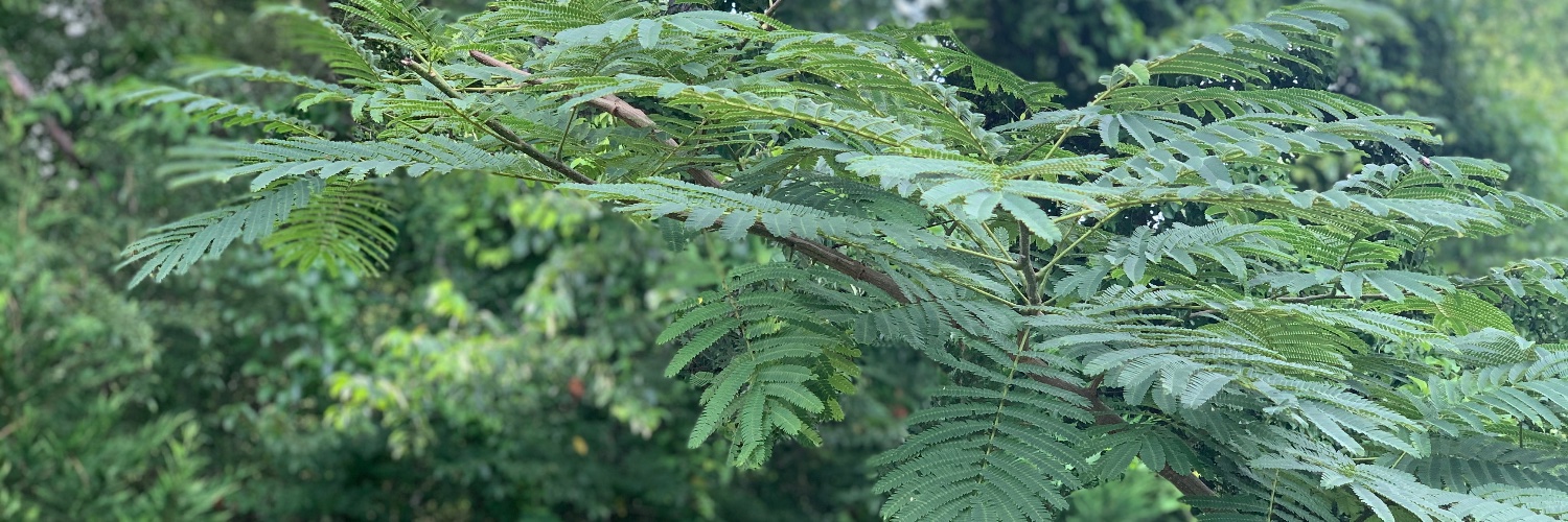 weight_loss_tips banner