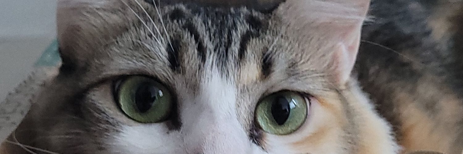 AntiBolsonarx's profile banner image