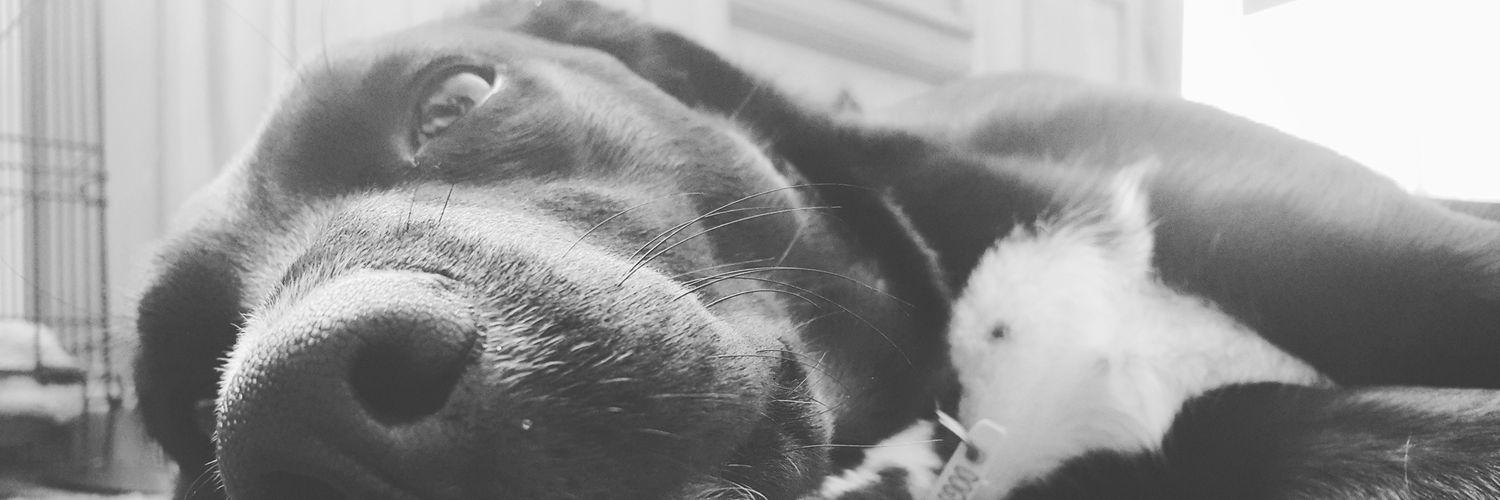 DanielRobertB's profile banner image