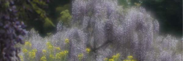 twiekun's profile banner image
