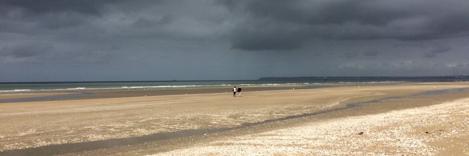 Sandris Metuzāls banner