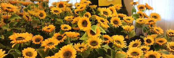 meimei_jms Profile Banner