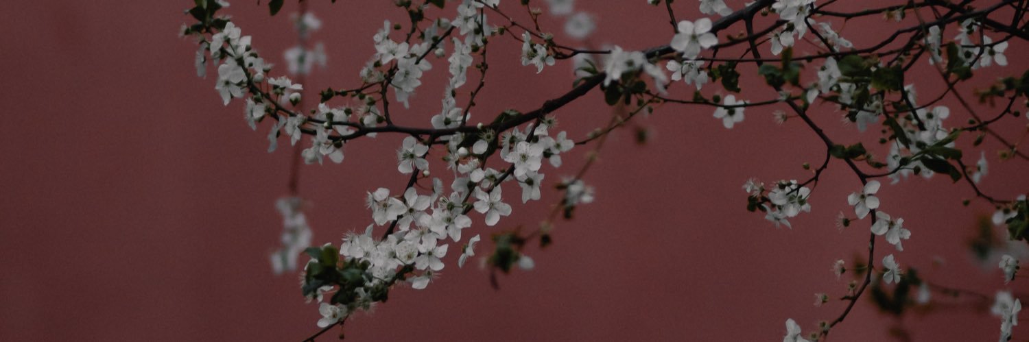 smithlm2020's profile banner image