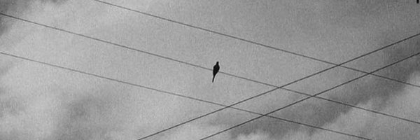 j0esterling Profile Banner