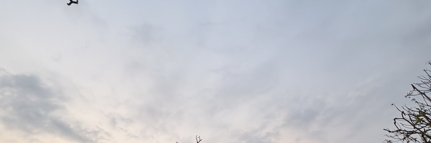 amaldaresti's profile banner image